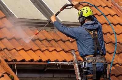 Démoussage et hydrofuge de toiture à Ozenay
